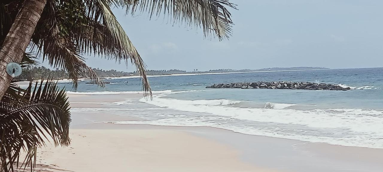 Rock Paradise Beach Hotel & Restaurent タンガラ エクステリア 写真